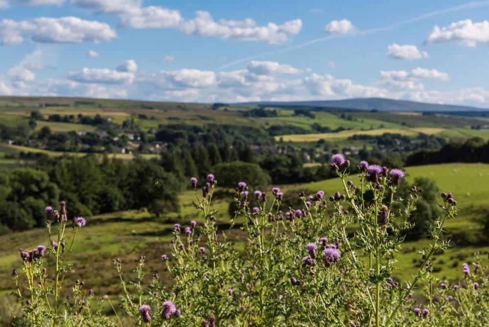 Gilsland Hall Hotel Carlisle (Cumbria) Luaran gambar